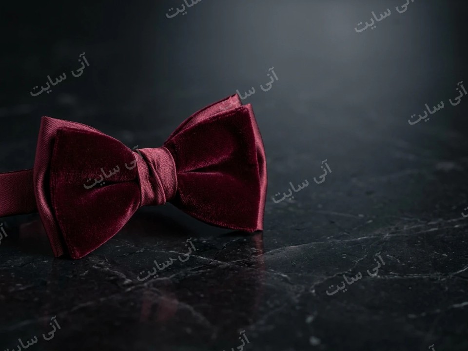 دانلود تصویر آماده برای بنر سایت فروشگاهی | پاپیون رسپانسیو