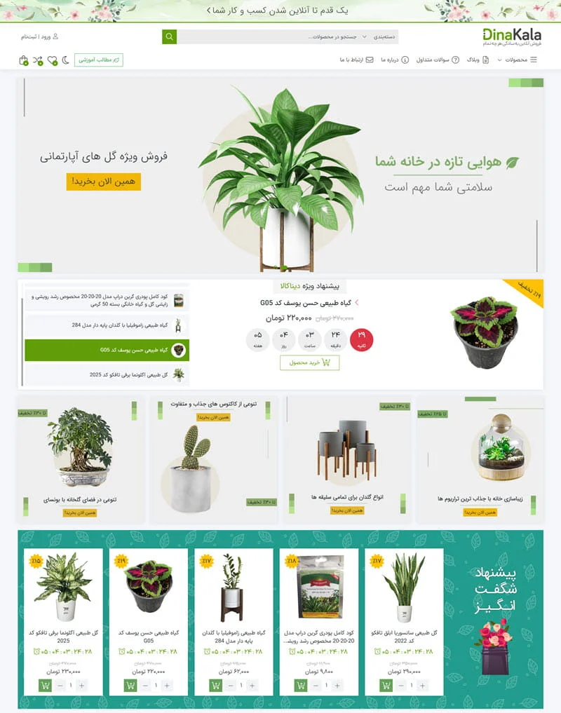 dina-kala-flower-plants-shop